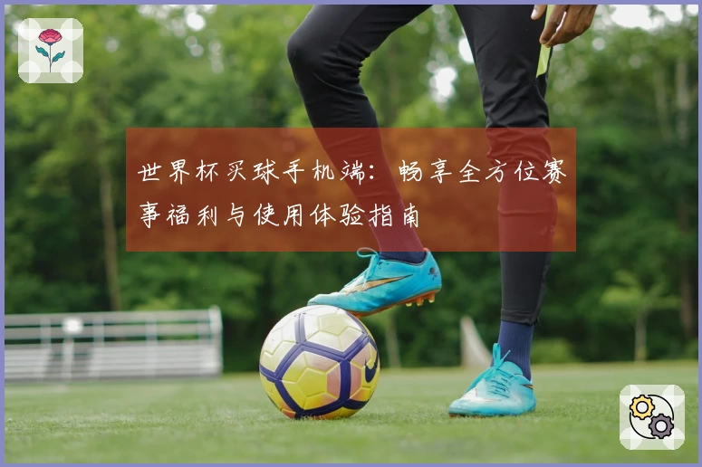 世界杯买球手机端：畅享全方位赛事福利与使用体验指南
