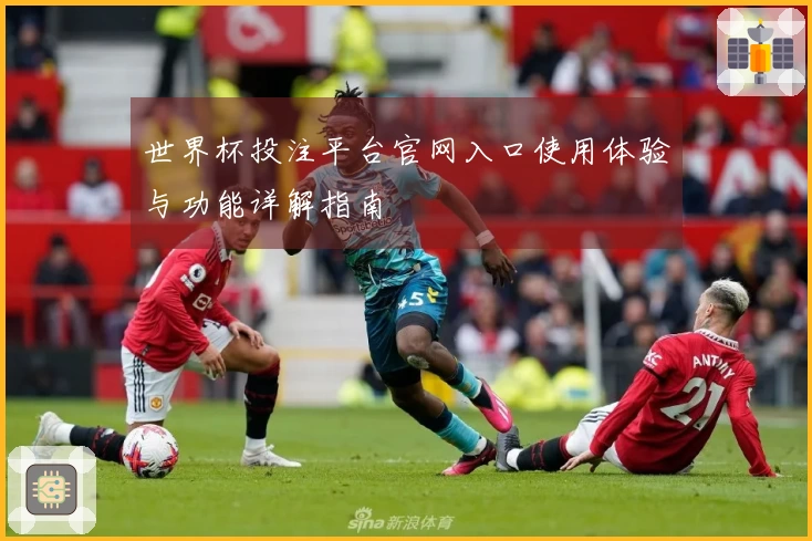 世界杯投注平台官网入口使用体验与功能详解指南