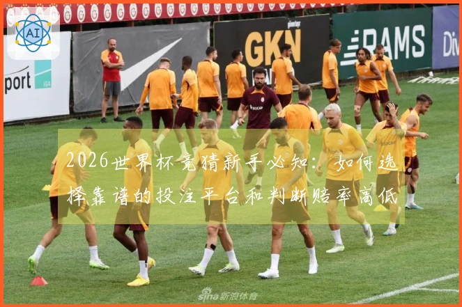 2026世界杯竞猜新手必知：如何选择靠谱的投注平台和判断赔率高低