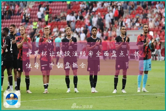 世界杯让球投注赔率全面盘点，抓住每一个翻盘机会