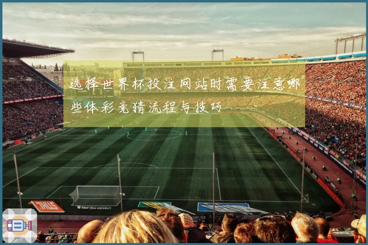 选择世界杯投注网站时需要注意哪些体彩竞猜流程与技巧