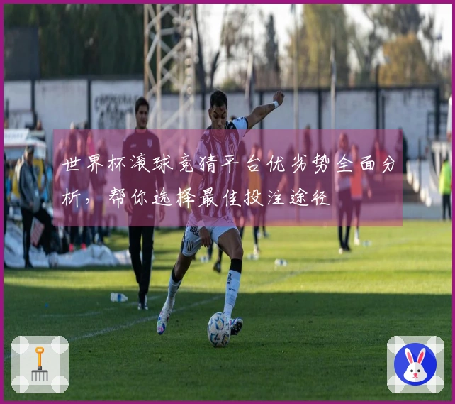 世界杯滚球竞猜平台优劣势全面分析，帮你选择最佳投注途径