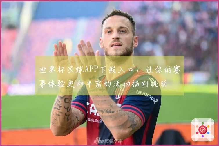 世界杯买球APP下载入口，让你的赛事体验更加丰富的活动福利说明