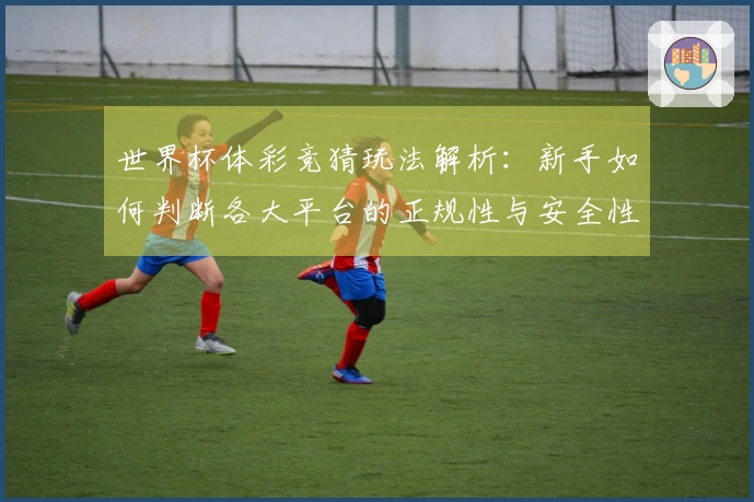 世界杯体彩竞猜玩法解析：新手如何判断各大平台的正规性与安全性