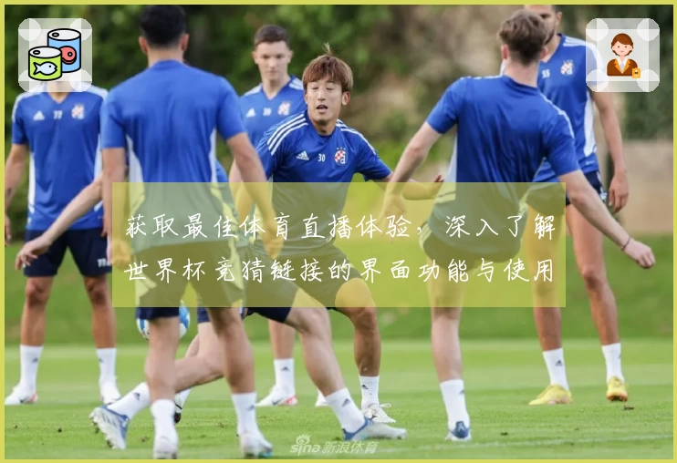 获取最佳体育直播体验，深入了解世界杯竞猜链接的界面功能与使用指南