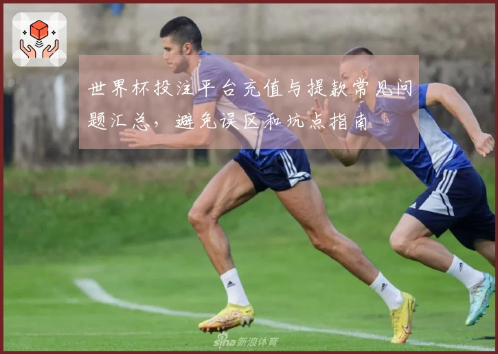 世界杯投注平台充值与提款常见问题汇总，避免误区和坑点指南