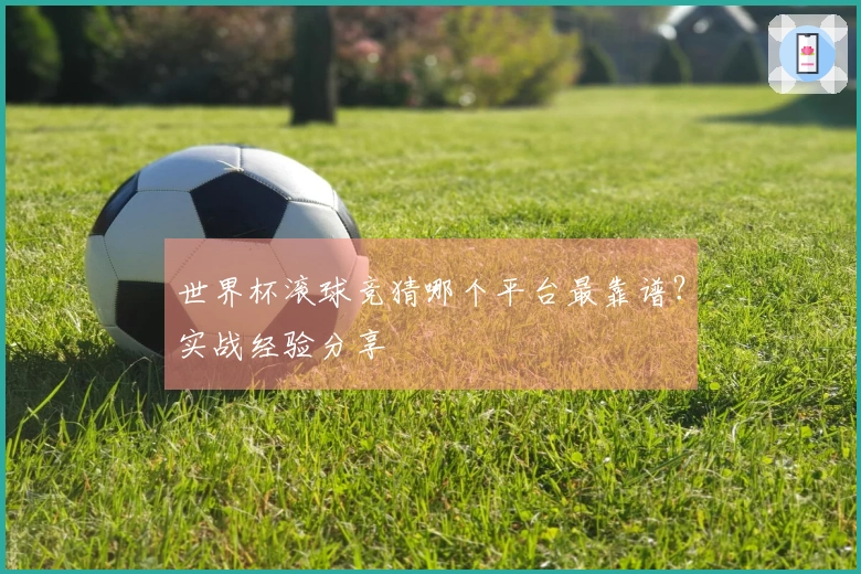 世界杯滚球竞猜哪个平台最靠谱？实战经验分享
