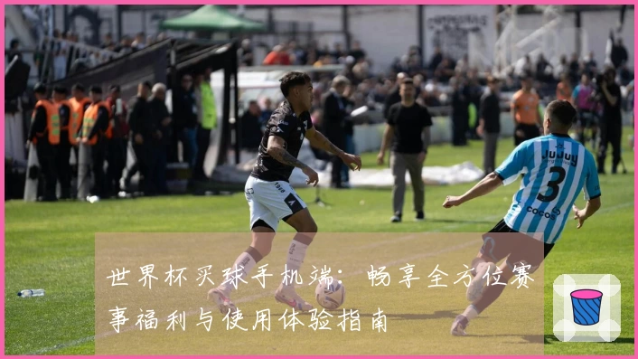 世界杯买球手机端:畅享全方位赛事福利与使用体验指南