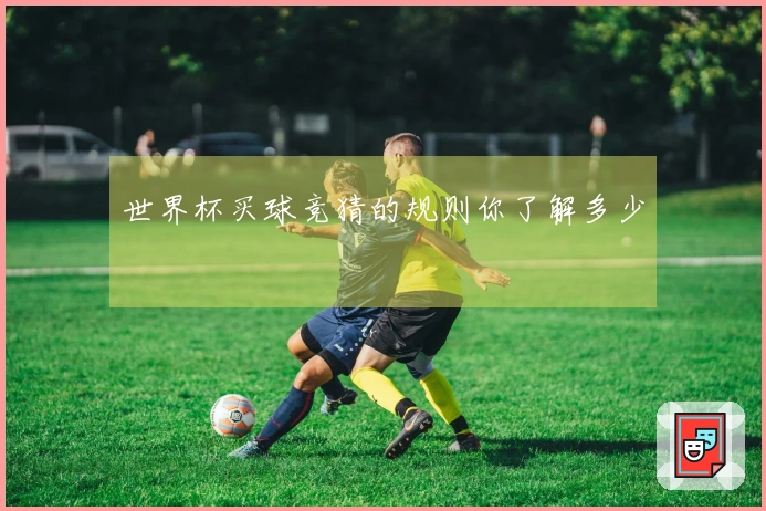 世界杯买球竞猜的规则你了解多少