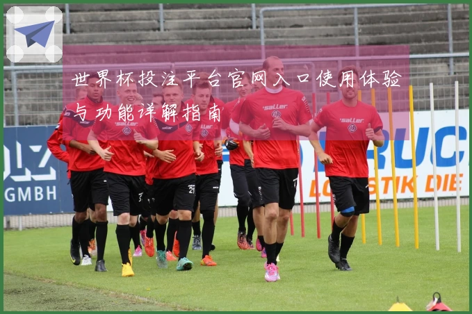 世界杯投注平台官网入口使用体验与功能详解指南