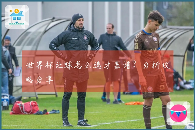 世界杯让球怎么选才靠谱？分析攻略分享